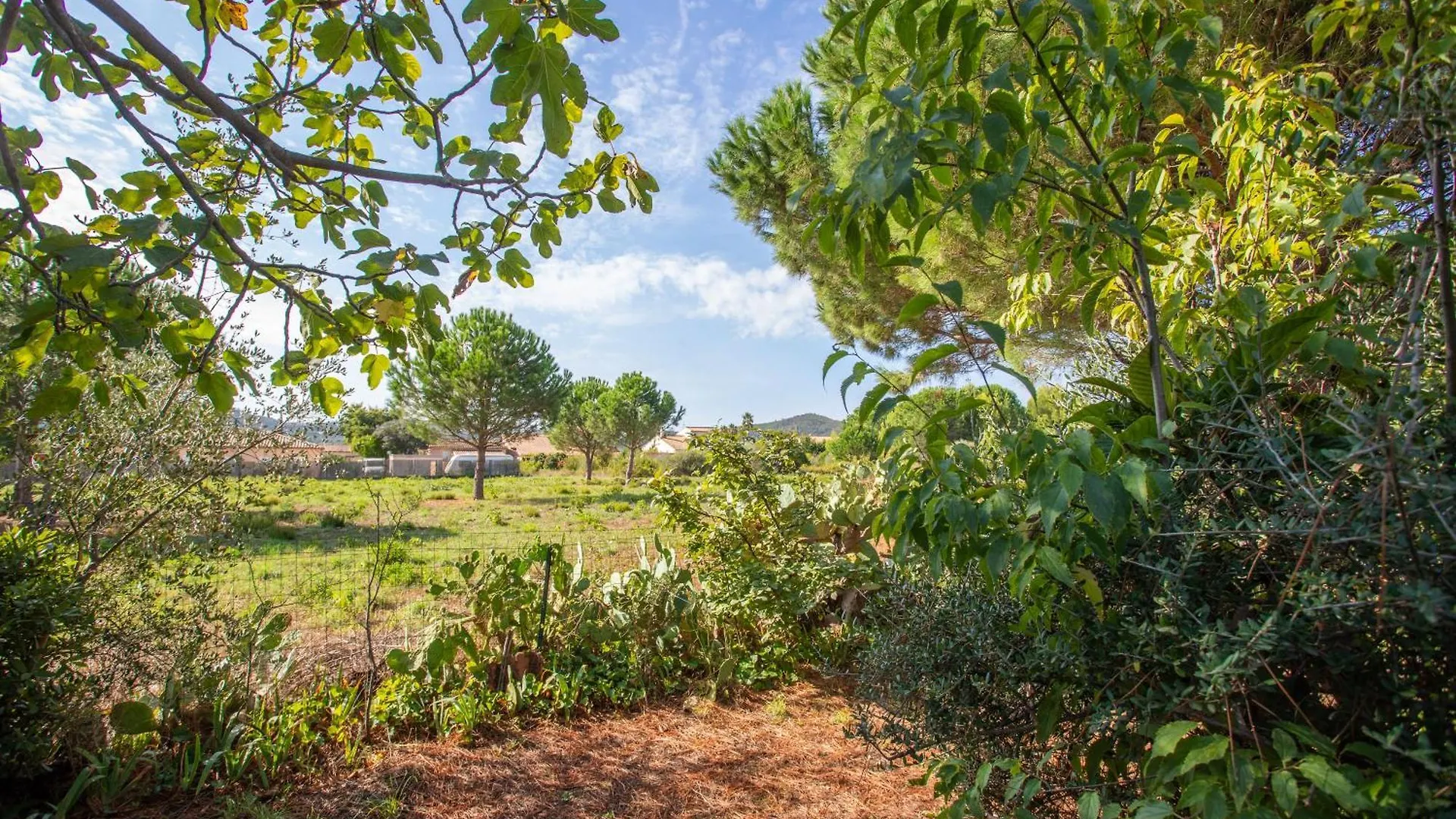 La Mer Bormes-les-Mimosas France