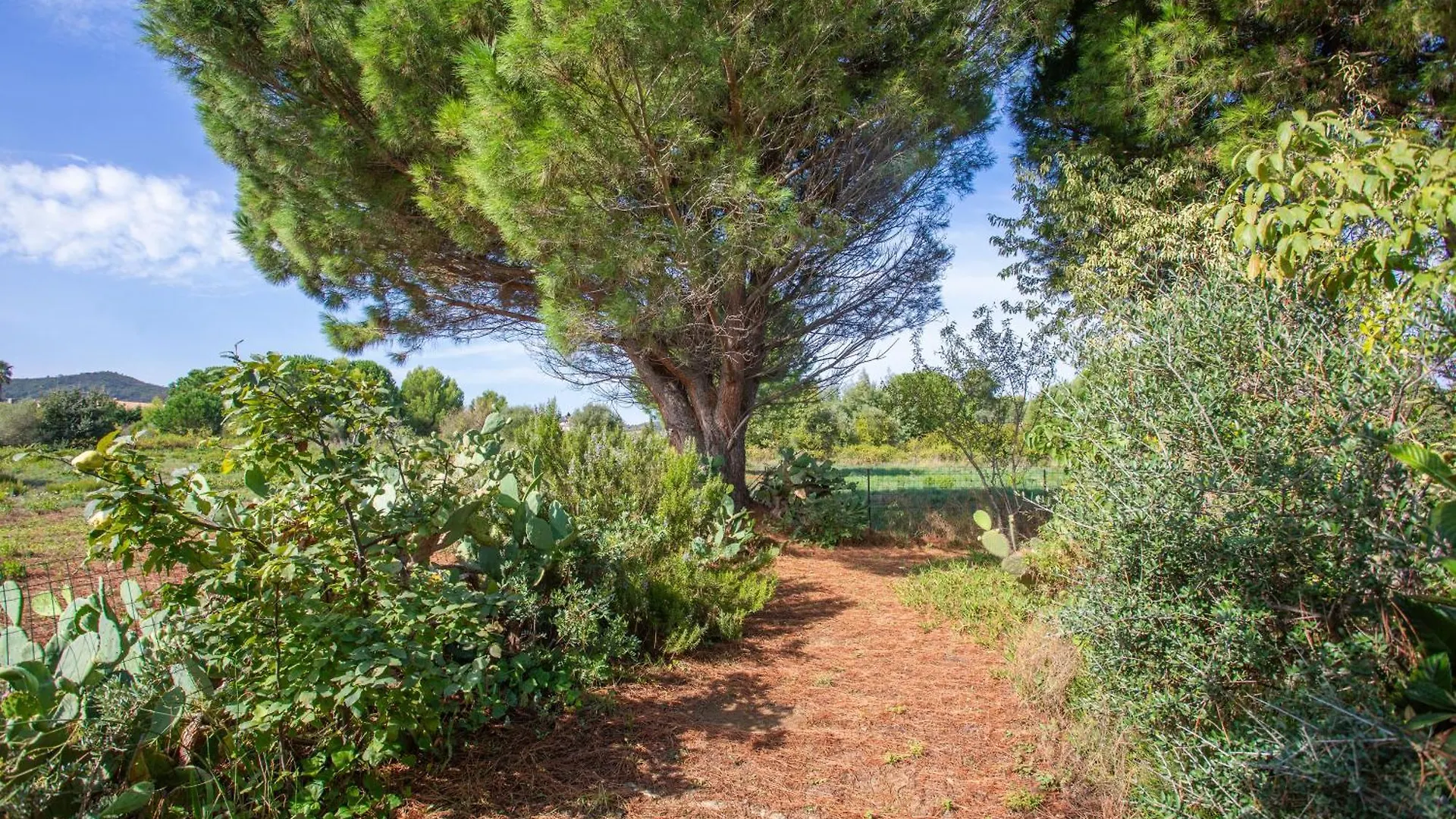 La Mer Bormes-les-Mimosas 0*,  France